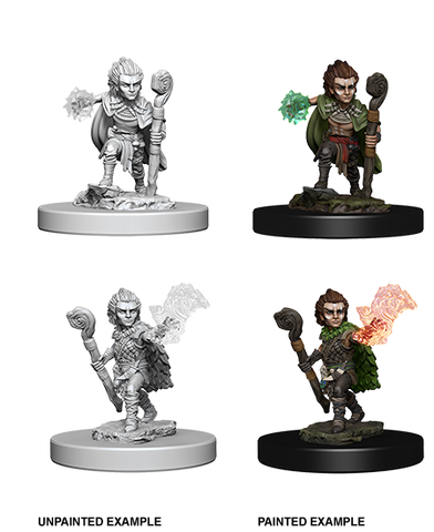 Wizkids: Pathfinder: Deep Cuts: Gnome Male Druid