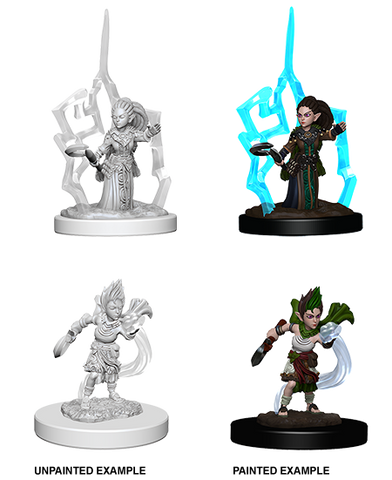 Wizkids: Pathfinder: Deep Cuts: Gnome Female Druid