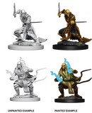 Wizkids: Nolzur's Marvelous Miniatures: Githzerai