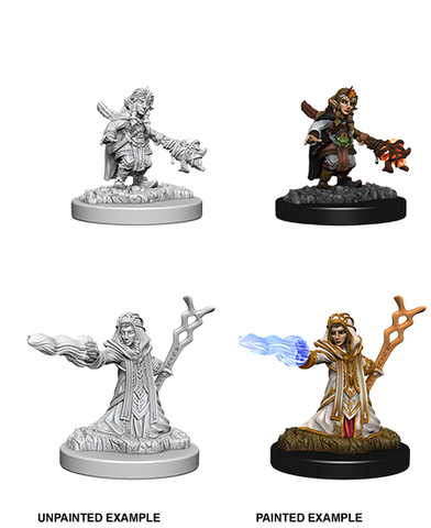 Wizkids: Nolzur's Marvelous Miniatures: Gnome Wizard