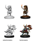 Wizkids Nolzur's Marvelous Miniatures: Halfling Fighter