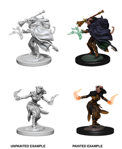 Wizkids: Nolzur's Marvelous Miniatures: Tiefling Warlock