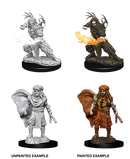 Wizkids: Nolzur's Marvelous Miniatures: Human Druid
