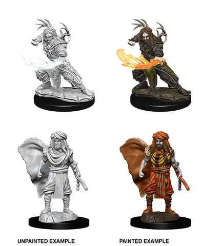 Wizkids: Nolzur's Marvelous Miniatures: Human Druid