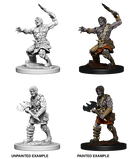 Wizkids: Nolzur's Marvelous Miniatures: Nameless One