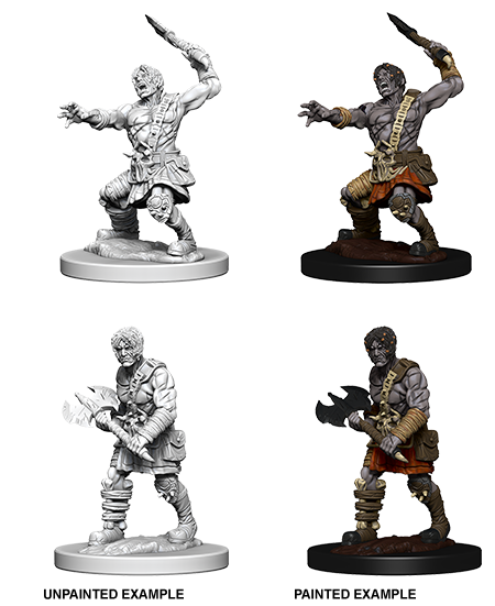 Wizkids: Nolzur's Marvelous Miniatures: Nameless One