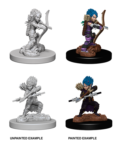 Wizkids: Pathfinder: Deep Cuts: Female Gnome Rogue