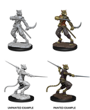 Wizkids: Nolzur's Marvelous Miniatures: Tabaxi Rogue