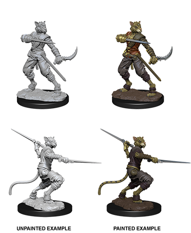 Wizkids: Nolzur's Marvelous Miniatures: Tabaxi Rogue
