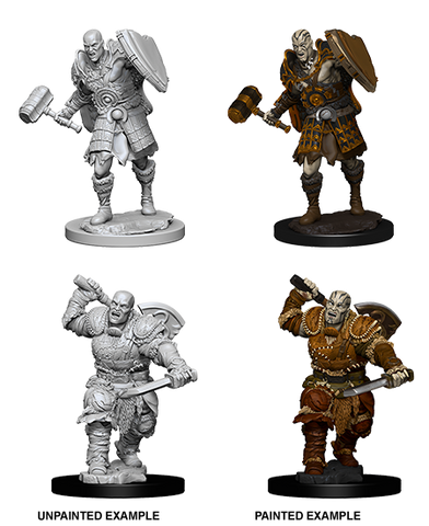 Wizkids: Nolzur's Marvelous Miniatures: Goliath Fighter