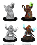 Wizkids: Pathfinder: Deep Cuts: Female Dwarf Summoner