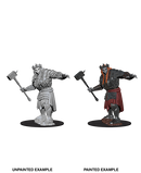 Wizkids: Nolzur's Marvelous Miniatures: Fire Giant