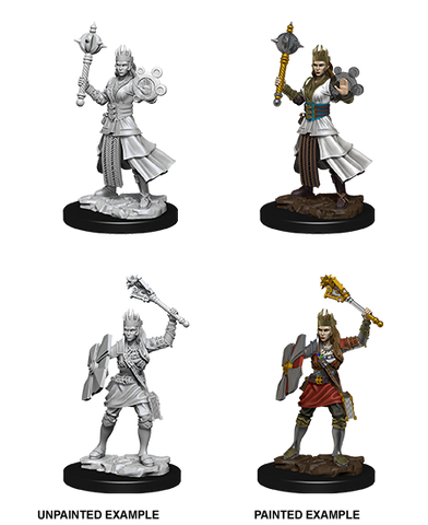 Wizkids: Nolzur's Marvelous Miniatures: Human Cleric