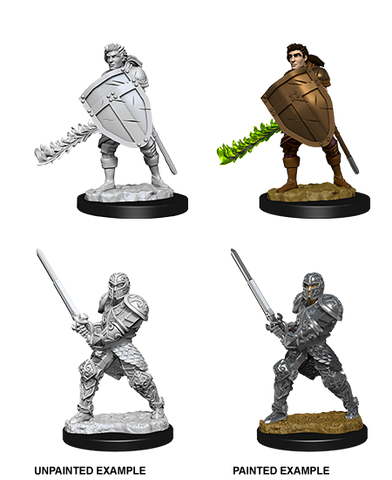 Wizkids: Nolzur's Marvelous Miniatures: Human Fighter