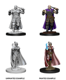 Wizkids: Nolzur's Marvelous Miniatures: Human Ranger & Moon Elf Sorcerer