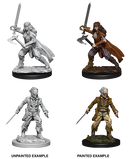 Wizkids: Nolzur's Marvelous Miniatures: Vampire Hunters