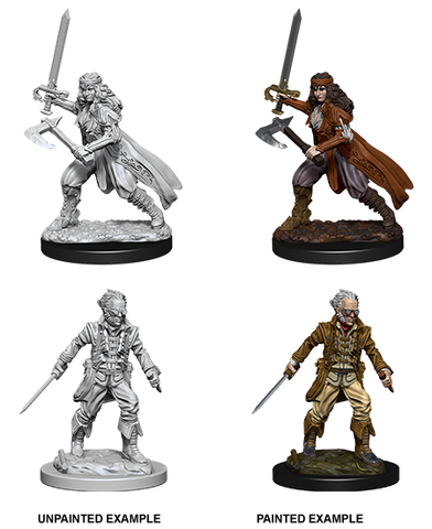 Wizkids: Nolzur's Marvelous Miniatures: Vampire Hunters