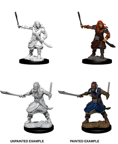 Wizkids: Nolzur's Marvelous Miniatures: Bandits