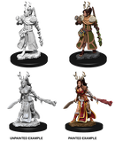 Wizkids Nolzur's Marvelous Miniatures: Human Druid