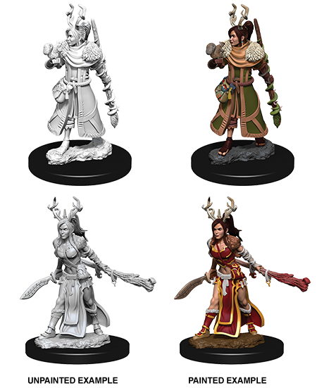Wizkids Nolzur's Marvelous Miniatures: Human Druid