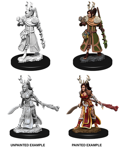 Wizkids Nolzur's Marvelous Miniatures: Human Druid