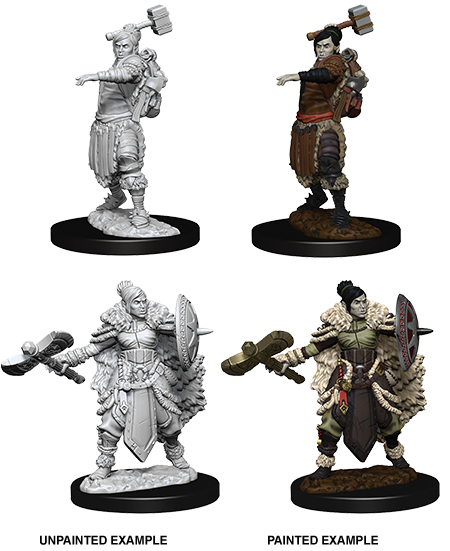 Wizkids: Pathfinder Deep Cuts : Half-Orc Barbarian