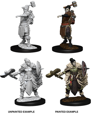 Wizkids: Pathfinder Deep Cuts : Half-Orc Barbarian