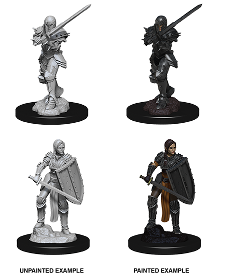 Wizkids: Nolzur's Marvelous Miniatures: Human Fighter