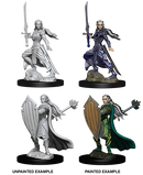 Wizkids: Nolzur's Marvelous Miniatures: Elf Paladin