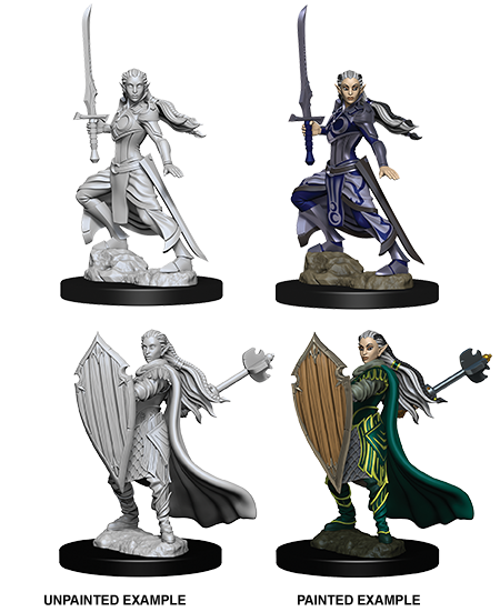 Wizkids: Nolzur's Marvelous Miniatures: Elf Paladin