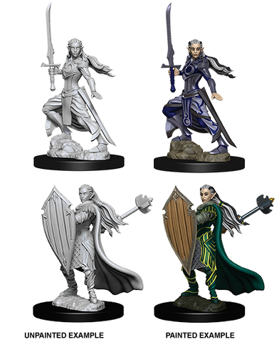 Wizkids: Nolzur's Marvelous Miniatures: Elf Paladin