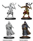Wizkids: Nolzur's Marvelous Miniatures: Elf Paladin
