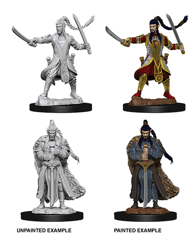 Wizkids: Nolzur's Marvelous Miniatures: Elf Paladin