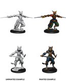 Wizkids: Nolzur's Marvelous Miniatures: Tabaxi Rogue