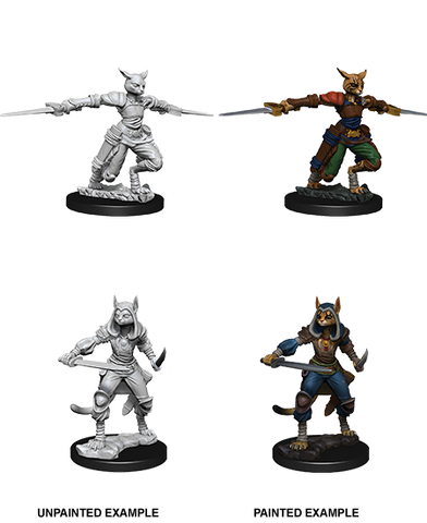 Wizkids: Nolzur's Marvelous Miniatures: Tabaxi Rogue