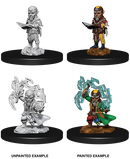 Wizkids: Pathfinder: Deep Cuts: Male Gnome Sorcerer