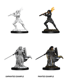 Wizkids: Nolzur's Marvelous Miniatures: Human Paladin