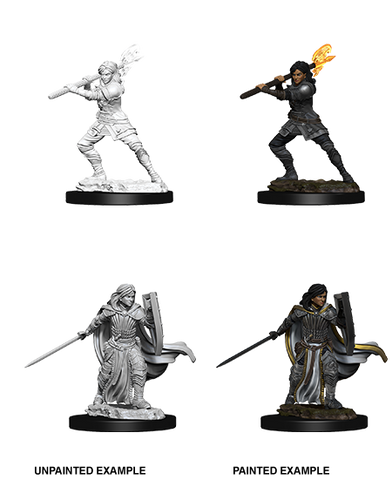 Wizkids: Nolzur's Marvelous Miniatures: Human Paladin