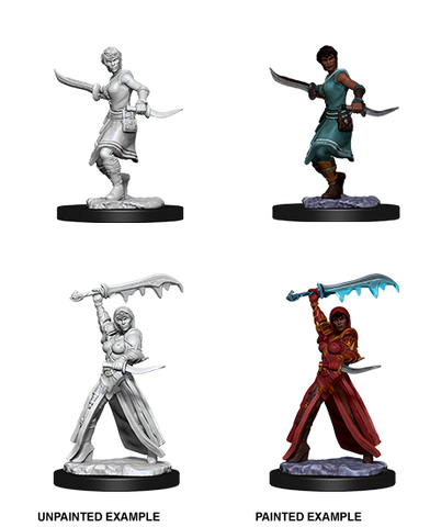 Wizkids: Nolzur's Marvelous Miniatures: Human Rogue