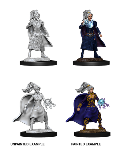 Wizkids: Nolzur's Marvelous Miniatures: Human Sorcerer