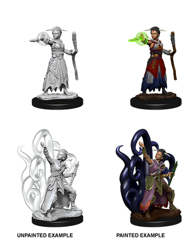 Wizkids: Nolzur's Marvelous Miniatures: Human Warlock