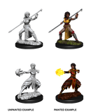 Wizkids: Nolzur's Marvelous Miniatures: Half-Elf Monk