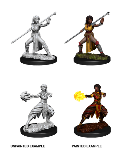 Wizkids: Nolzur's Marvelous Miniatures: Half-Elf Monk