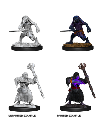 Wizkids: Nolzur's Marvelous Miniatures: Kenku Adventurers