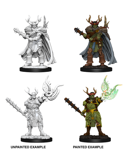 Wizkids: Pathfinder: Deep Cuts: Male Half-Orc Druid