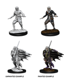 Wizkids: Pathfinder: Deep Cuts: Male Elf Rogue