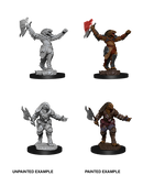 Wizkids: Nolzur's Marvelous Miniatures: Dragonborn Fighter