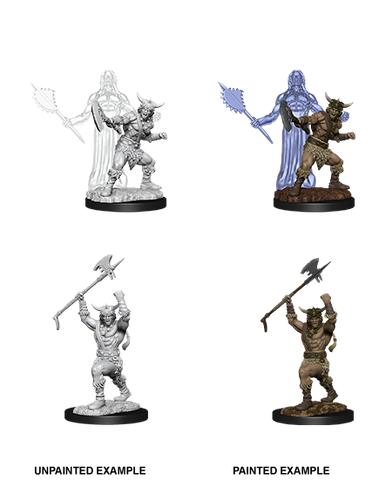 Wizkids: Nolzur's Marvelous Miniatures: Human Barbarian
