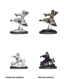 Wizkids: Nolzur's Marvelous Miniatures: Human Monk