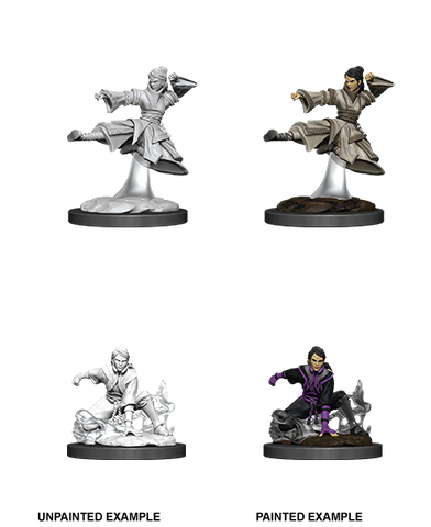 Wizkids: Nolzur's Marvelous Miniatures: Human Monk